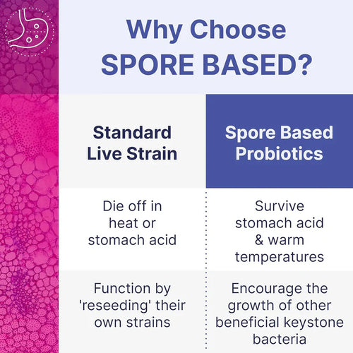 Microbiome Labs Mega SporeBiotic Daily Probiotic