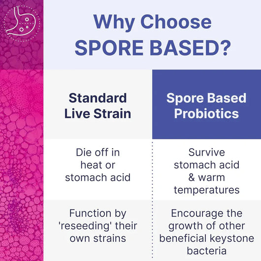 Microbiome Labs Mega SporeBiotic Daily Probiotic